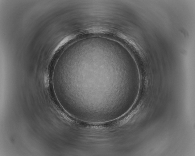 X0000112471306200908171150