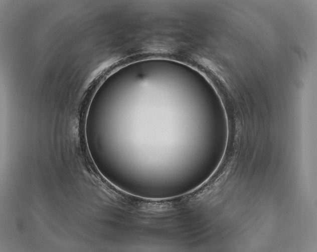 X0000112471307200908171150