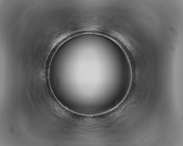 X0000112471308200908171150