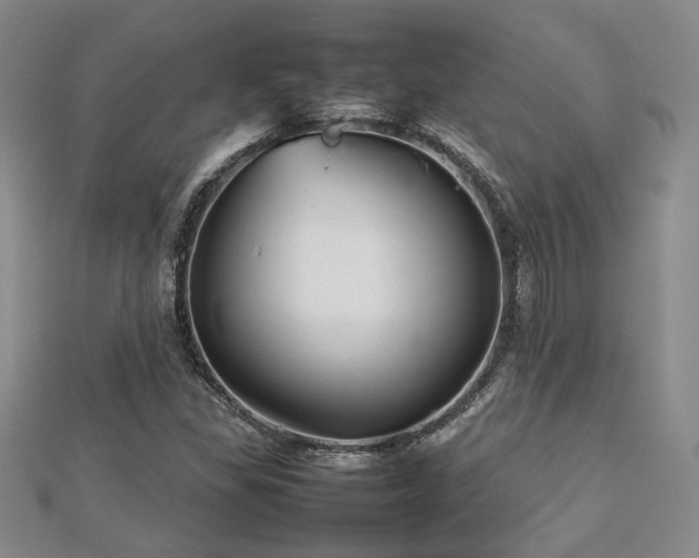 X0000112471309200908171150