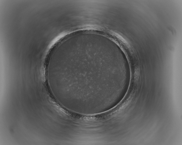 X0000112471310200908171150