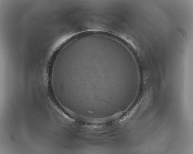 X0000112471311200908171150