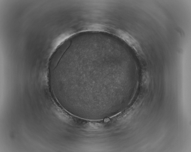 X0000112471312200908171150