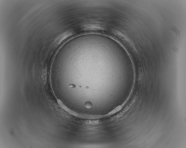 X0000112471313200908171150