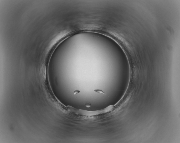 X0000112471317200908171150