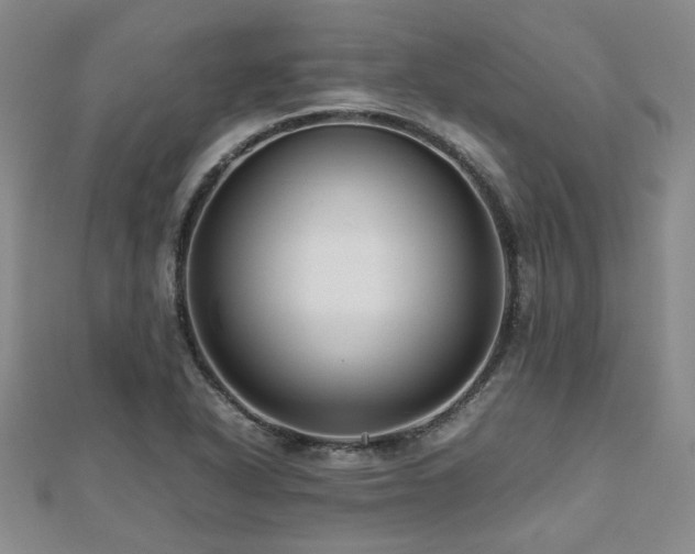 X0000112471318200908171150