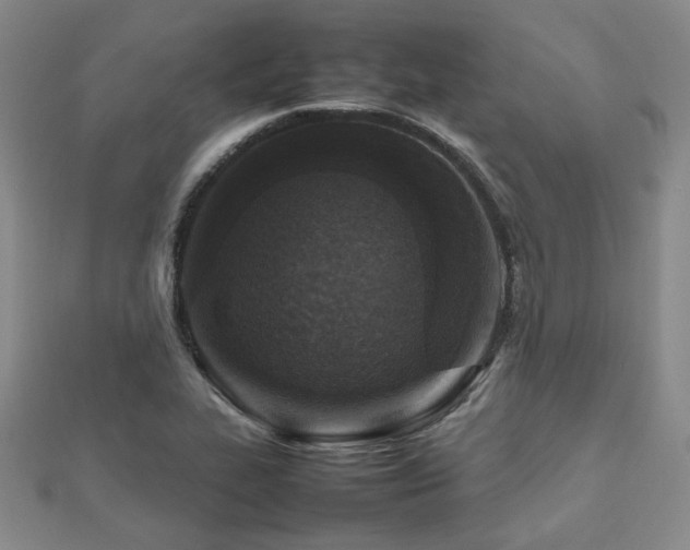 X0000112471319200908171150