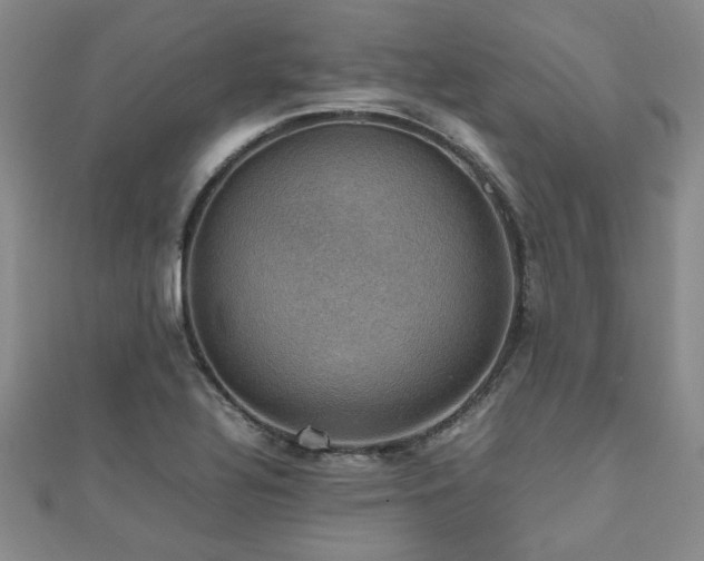 X0000112471320200908171150