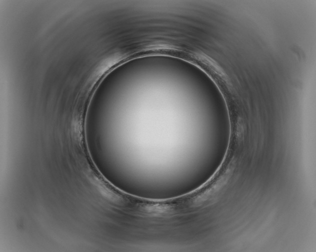 X0000112471321200908171150