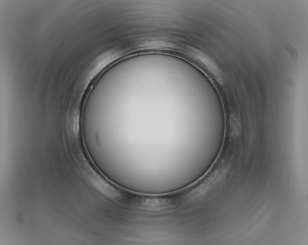 X0000112471322200908171150