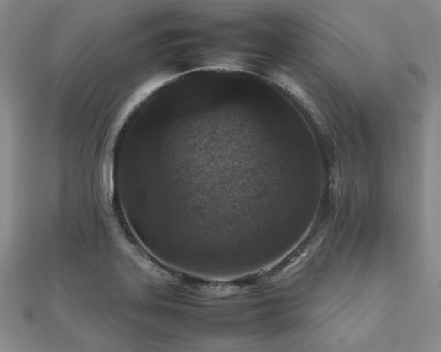 X0000112471323200908171150