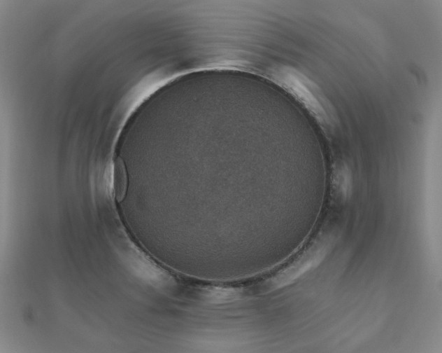 X0000112471324200908171150