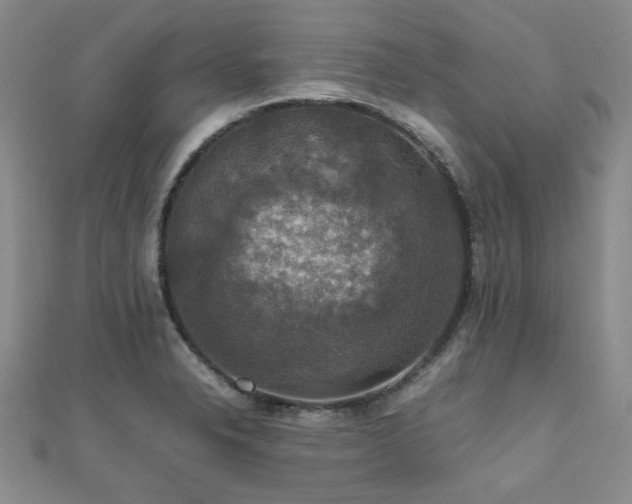 X0000112471326200908171150