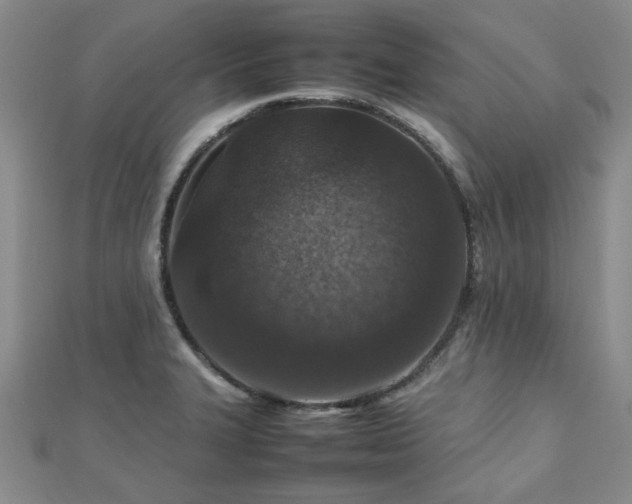 X0000112471327200908171150