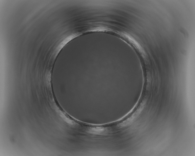 X0000112471329200908171150