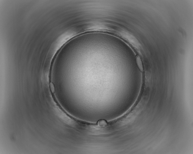 X0000112471330200908171150