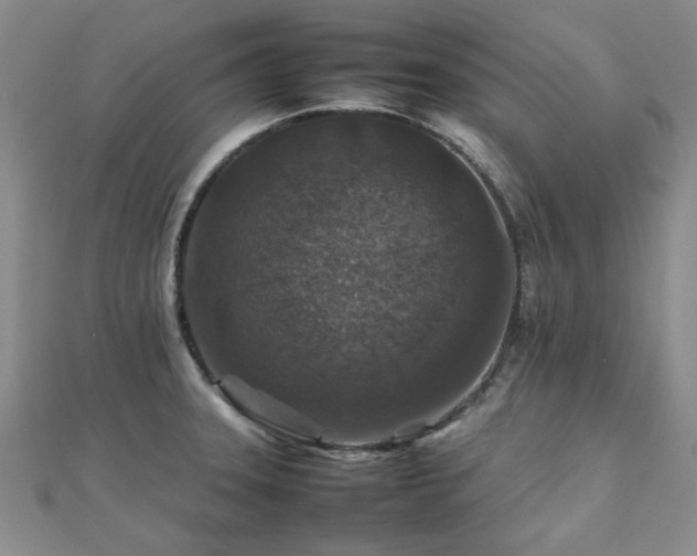 X0000112471331200908171150