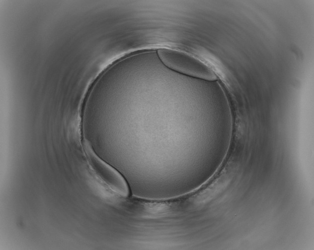 X0000112471332200908171150