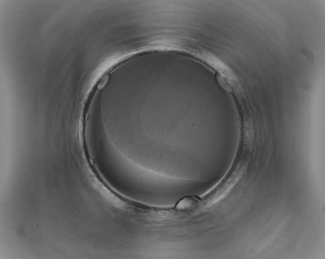 X0000112471334200908171150