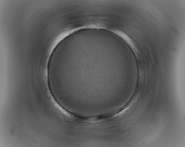 X0000112471335200908171150