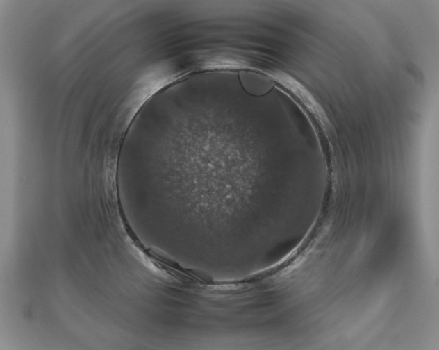 X0000112471337200908171150