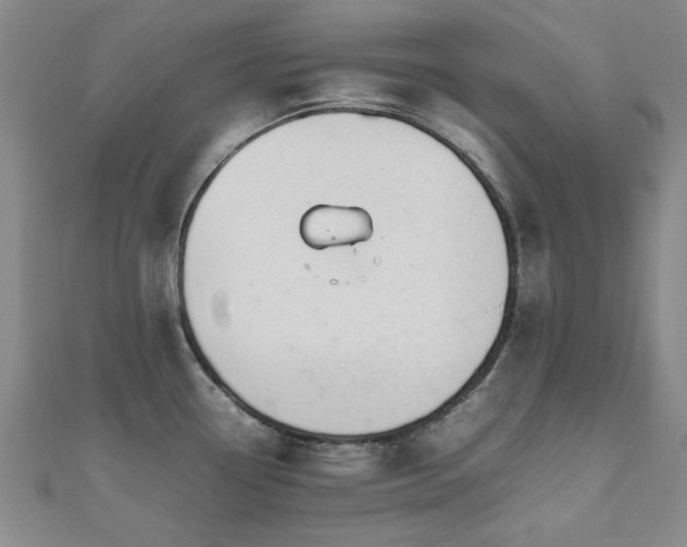 X0000112471338200908171150