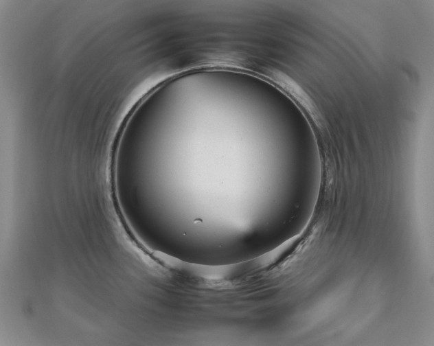 X0000112471339200908171150