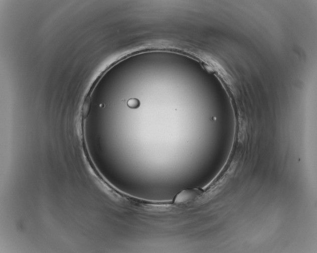 X0000112471342200908171150