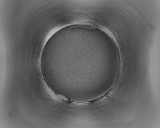 X0000112471344200908171150