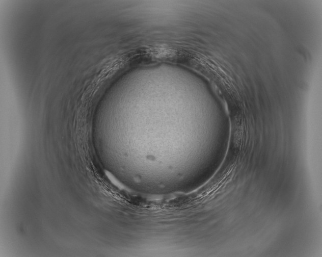 X0000112471345200908171150