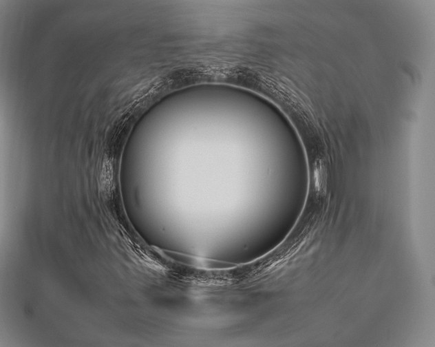 X0000112471347200908171150