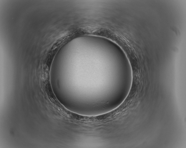 X0000112471349200908171149