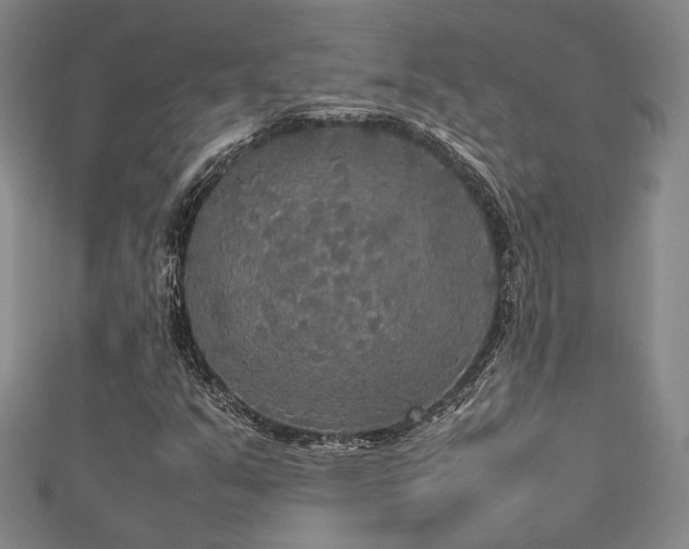 X0000112471351200908171149