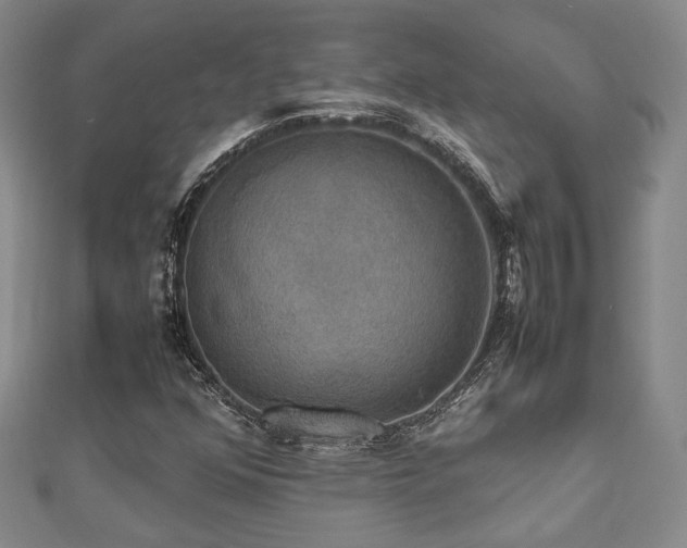 X0000112471352200908171149