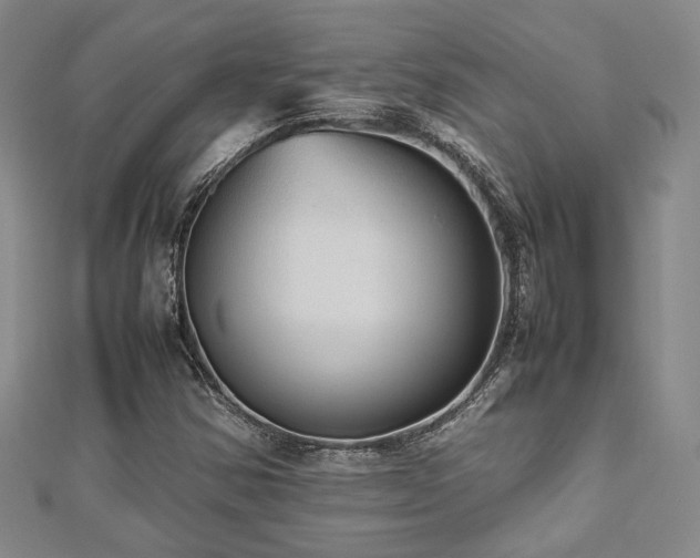 X0000112471354200908171149