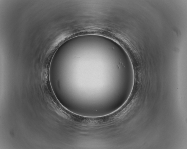 X0000112471355200908171149