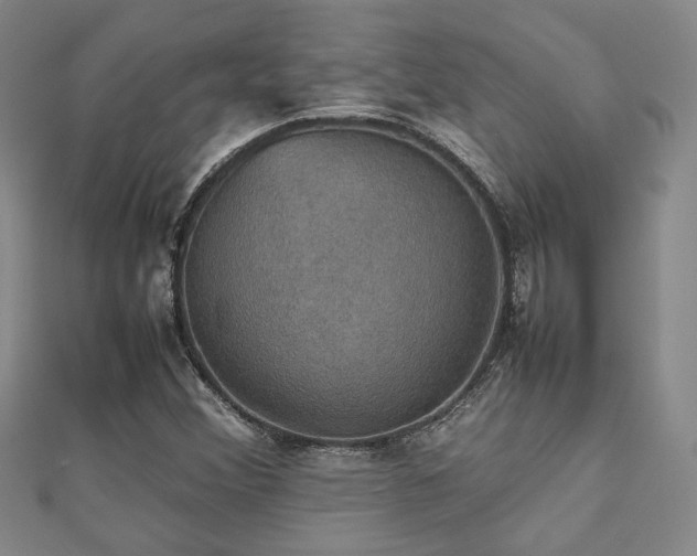 X0000112471356200908171149