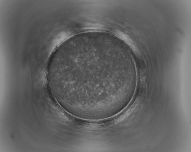 X0000112471357200908171149