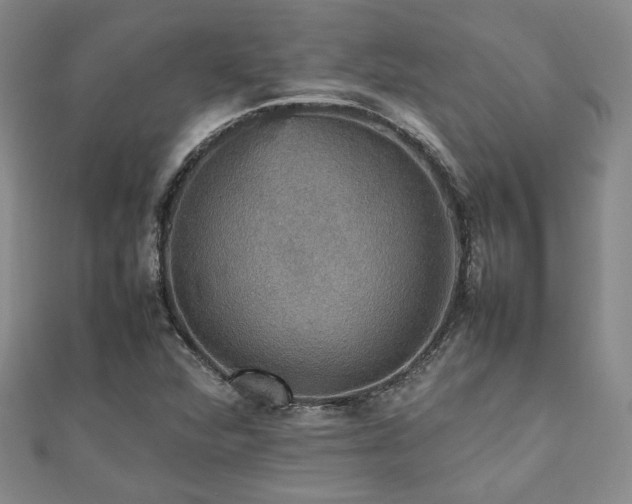 X0000112471360200908171149