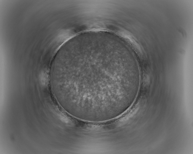 X0000112471361200908171149