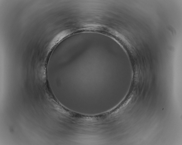 X0000112471362200908171149