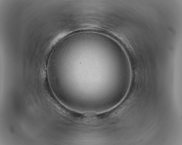 X0000112471363200908171149