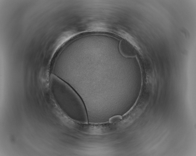 X0000112471364200908171149