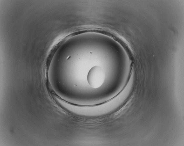 X0000112471365200908171149