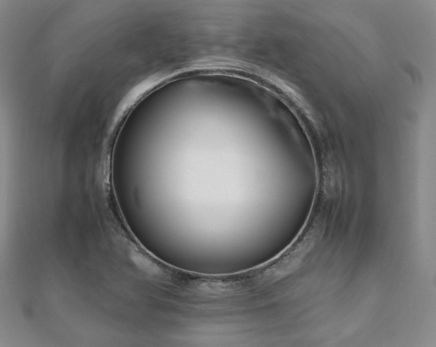 X0000112471366200908171149