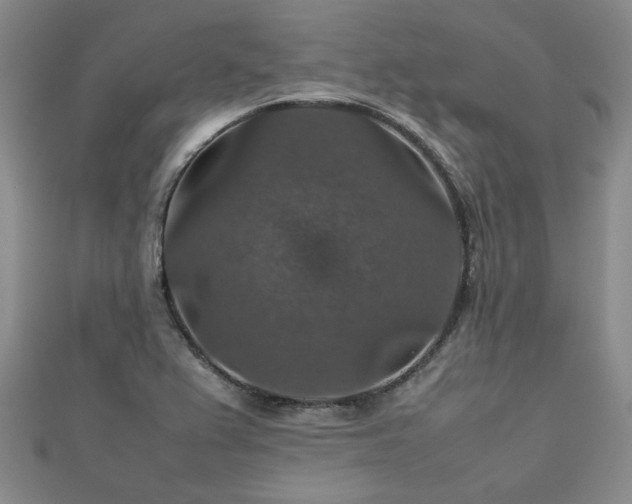 X0000112471367200908171149