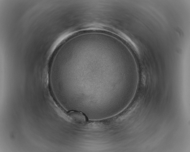 X0000112471368200908171149