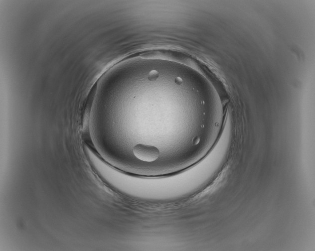 X0000112471369200908171149