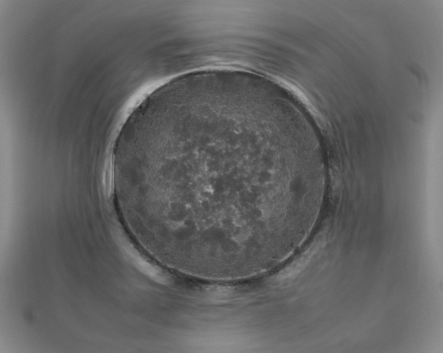 X0000112471371200908171149