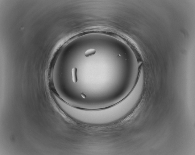 X0000112471373200908171149